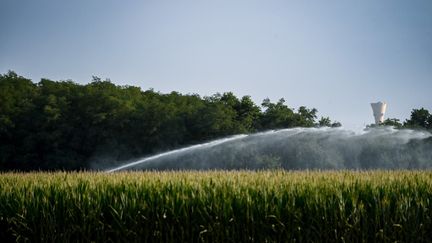 Irrigation d'un champ près de Lyon (photo d'illustration). (OLIVIER CHASSIGNOLE / AFP)